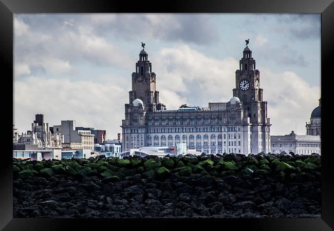 Liverpool Liver buildings Framed Print by Mark  Clair