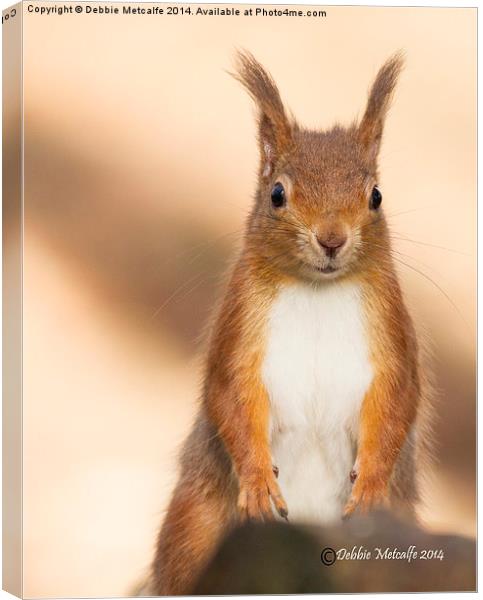 Portrait of Red Squirrel Canvas Print by Debbie Metcalfe