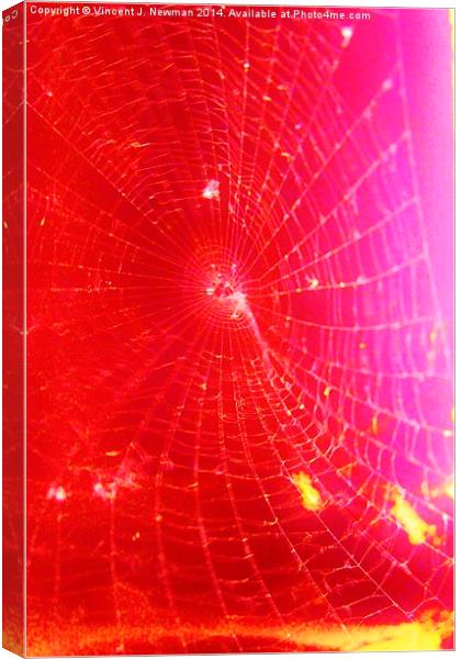 Scarlet Web- Unique Abstract Photgraphy Canvas Print by Vincent J. Newman