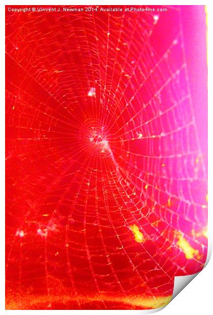 Scarlet Web- Unique Abstract Photgraphy Print by Vincent J. Newman