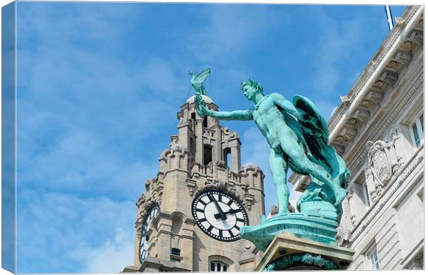 Liver Bird Perch Canvas Print by Gregory Lawson