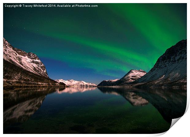 Aurora Reflections Print by Tracey Whitefoot