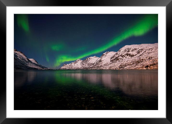 Crocodile Aurora Framed Mounted Print by Tracey Whitefoot