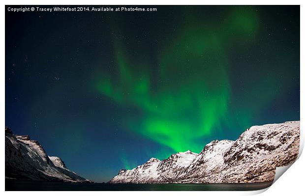 Aurora Eruption Print by Tracey Whitefoot