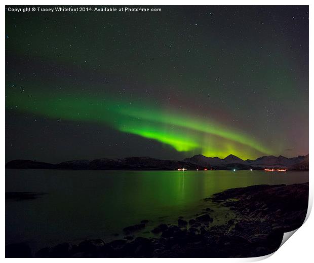 Dancing Aurora Print by Tracey Whitefoot