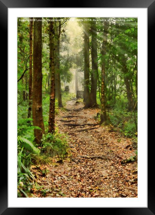 Path Through the Woods Framed Mounted Print by Louise Heusinkveld