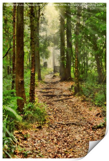 Path Through the Woods Print by Louise Heusinkveld