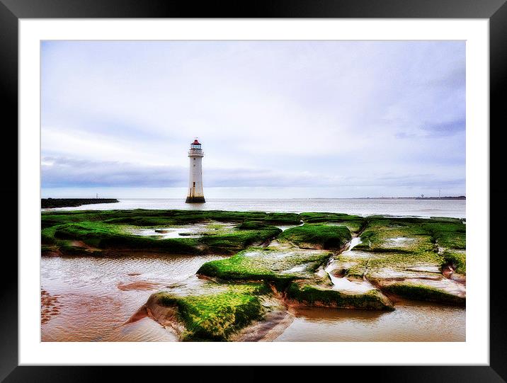 perch rock Framed Mounted Print by sue davies