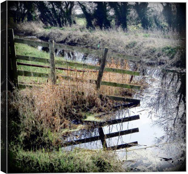 Somerset levels river reflection Canvas Print by Paula Palmer canvas