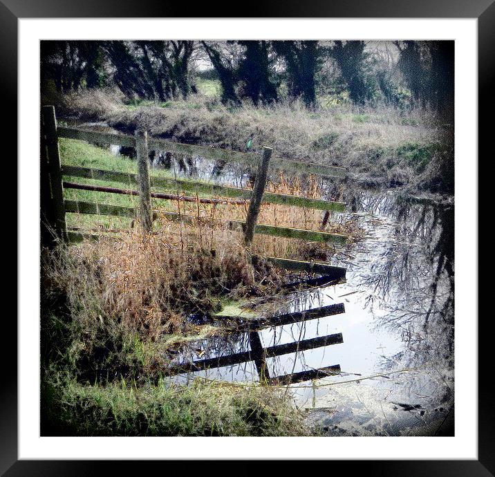 Somerset levels river reflection Framed Mounted Print by Paula Palmer canvas