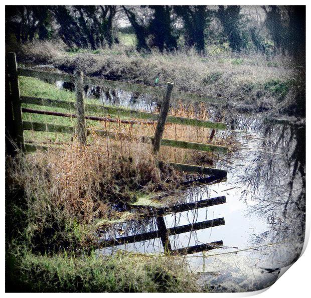 Somerset levels river reflection Print by Paula Palmer canvas