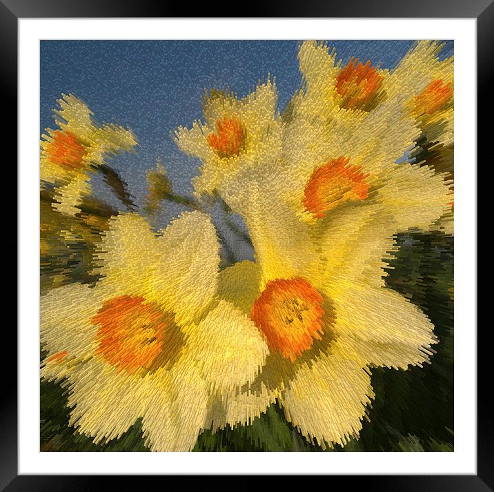 SPRING TIME FLOWERS Framed Mounted Print by Clive Eariss
