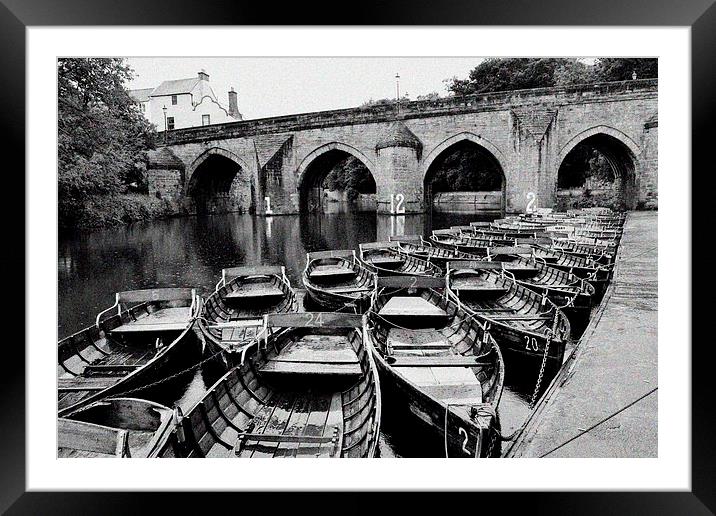 Rowing boats on Durham river Framed Mounted Print by DARREN WHITE