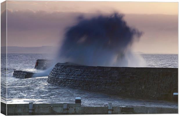 Lyme Regis Cobb in the Middle of a Storm Canvas Print by Paul Brewer