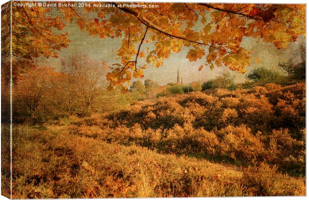Textured autumnal rural scene. Canvas Print by David Birchall