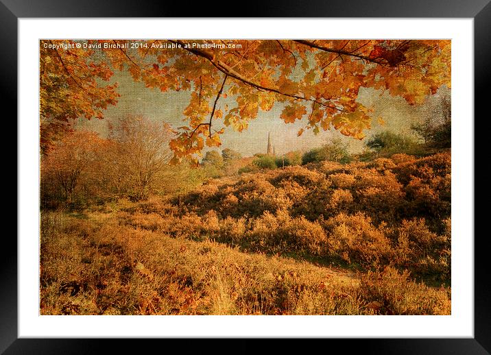Textured autumnal rural scene. Framed Mounted Print by David Birchall
