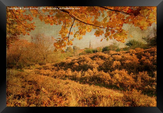 Textured autumnal rural scene. Framed Print by David Birchall