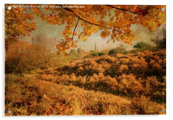Textured autumnal rural scene. Acrylic by David Birchall