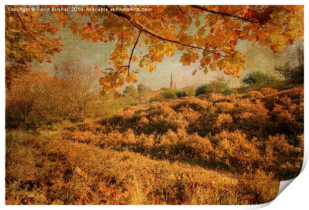 Textured autumnal rural scene. Print by David Birchall