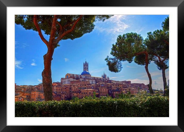 Siena Framed Mounted Print by Diana Mower