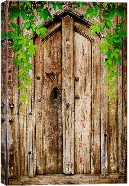 Behind A Closed Door Canvas Print by Christine Lake