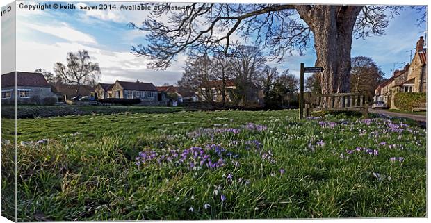 Spring on the village green Canvas Print by keith sayer