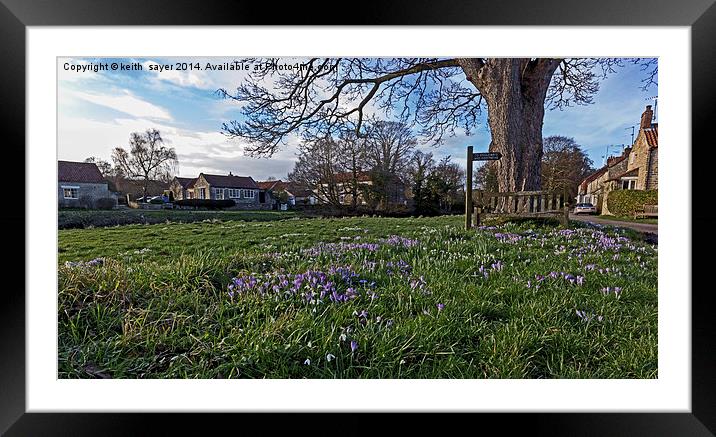 Spring on the village green Framed Mounted Print by keith sayer