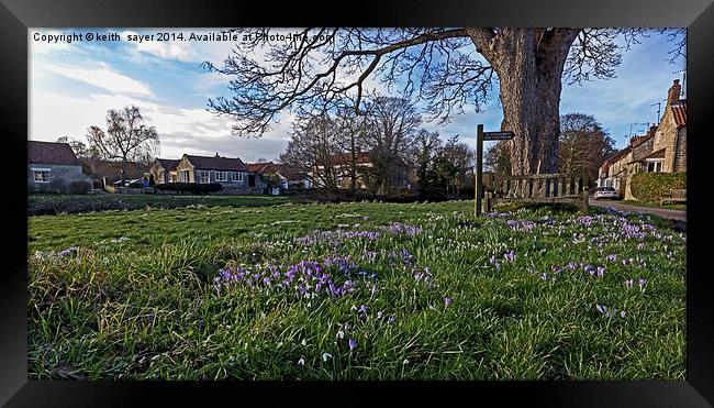 Spring on the village green Framed Print by keith sayer