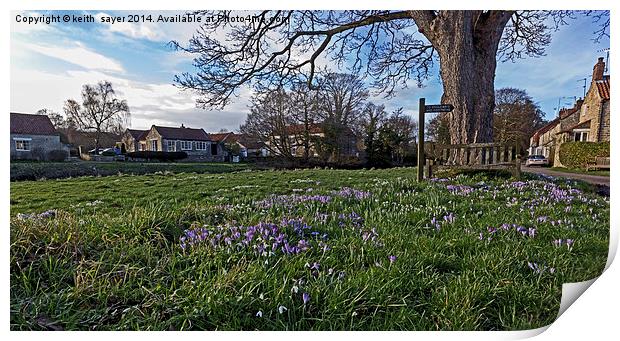Spring on the village green Print by keith sayer
