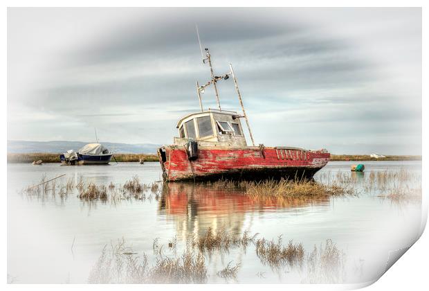 Sheldrakes Picture Postcard Print by raymond mcbride