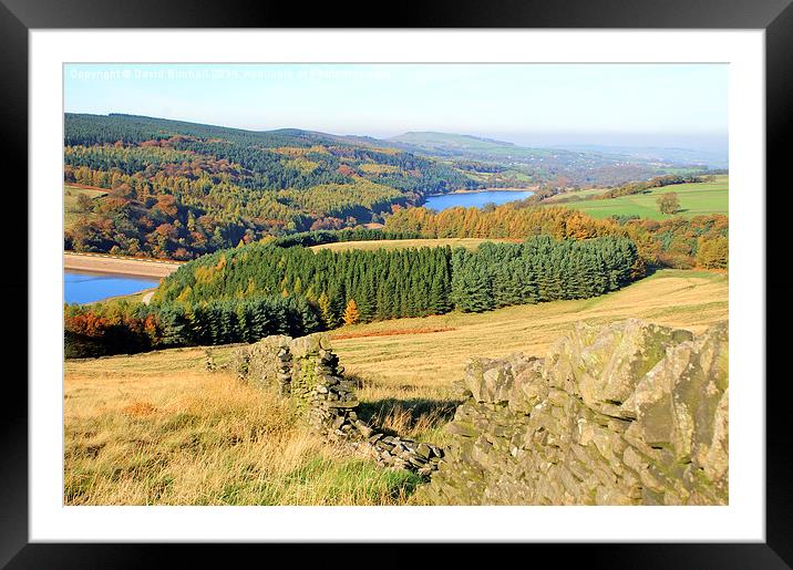 Goyt Valley Autumn, Derbyshire Framed Mounted Print by David Birchall