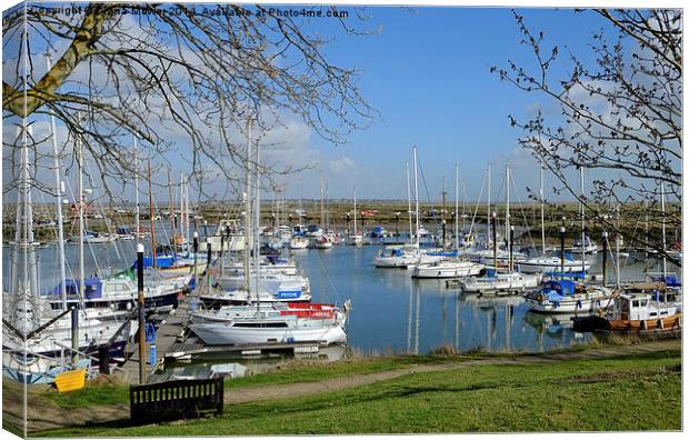 Tollesbury Marina Canvas Print by Diana Mower