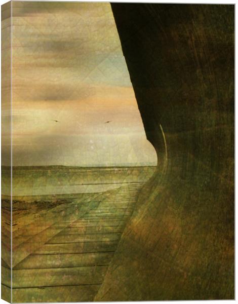 Sea Wall (2) - Burnham on Sea. Canvas Print by Heather Goodwin