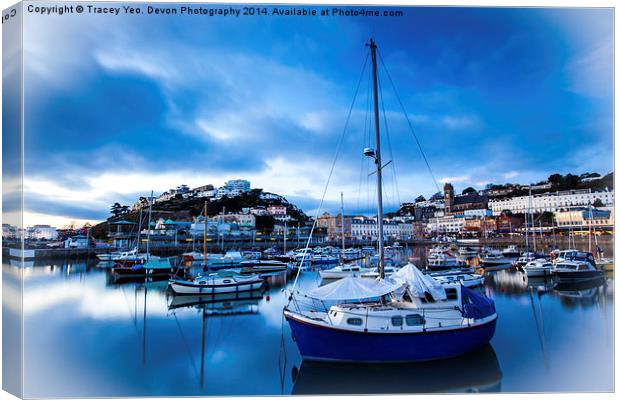Torquay Harbour Blues Canvas Print by Tracey Yeo