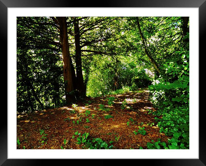Fifty Shades Of Green Framed Mounted Print by Pete Moyes