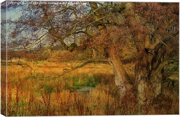 Tree In A Meadow Canvas Print by Julie Coe