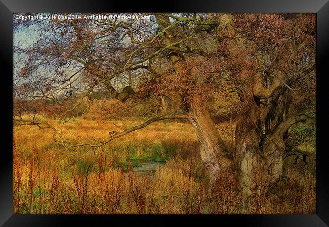 Tree In A Meadow Framed Print by Julie Coe