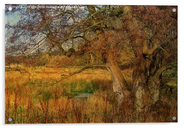 Tree In A Meadow Acrylic by Julie Coe
