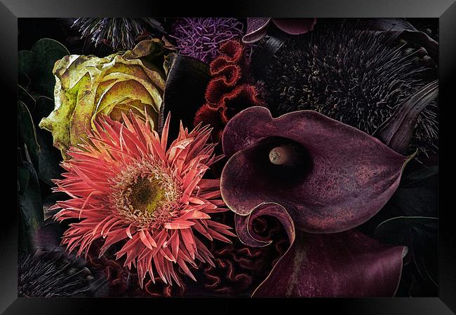 Dark Bouquet Framed Print by Ann Garrett