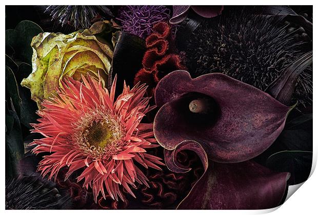 Dark Bouquet Print by Ann Garrett