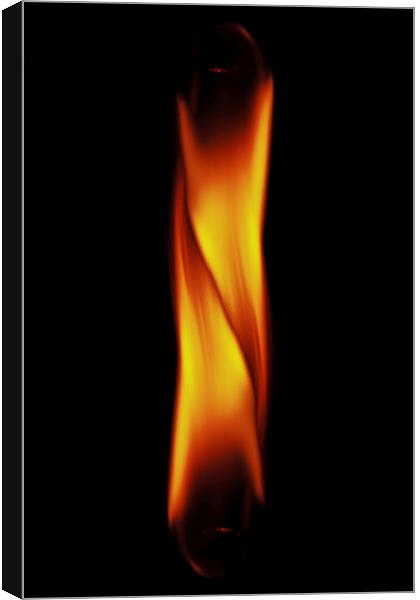 Two flames Canvas Print by Doug McRae