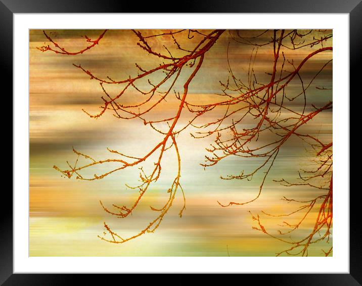 Evening Breeze. Framed Mounted Print by Heather Goodwin