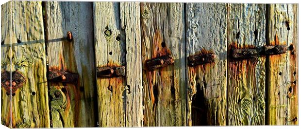 old rustic wooden fence Canvas Print by Rhona Ward