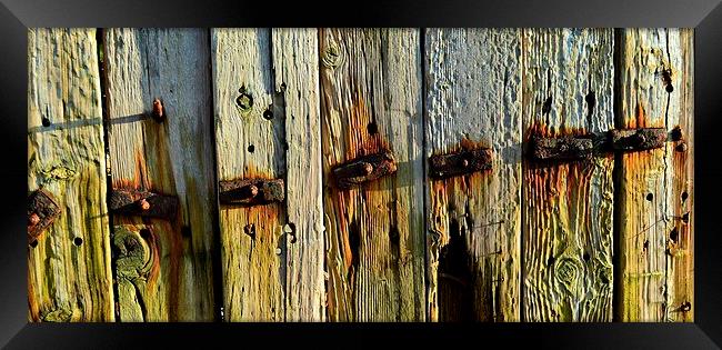 old rustic wooden fence Framed Print by Rhona Ward