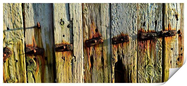 old rustic wooden fence Print by Rhona Ward
