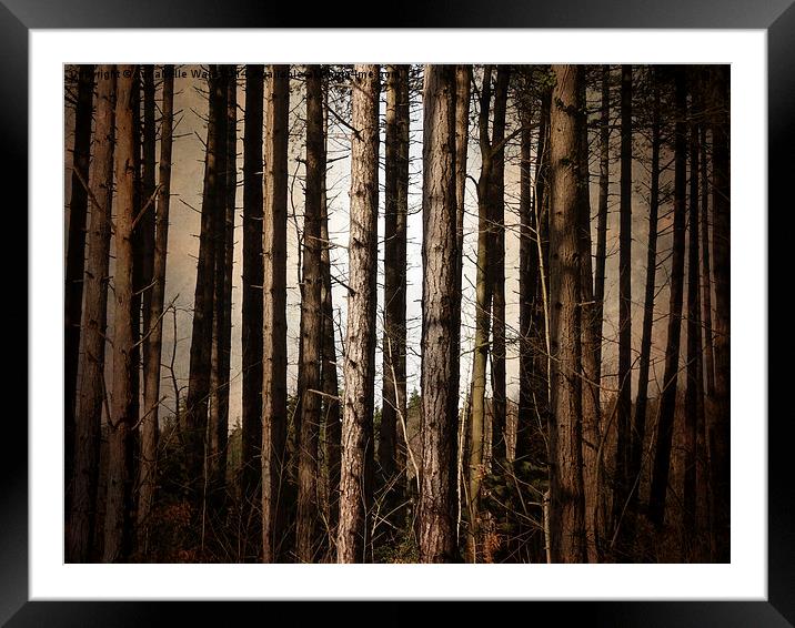 Trunks Framed Mounted Print by Annabelle Ward