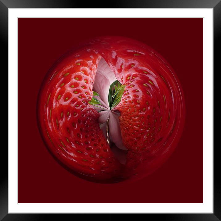 Strawberry from the inside Framed Mounted Print by Robert Gipson