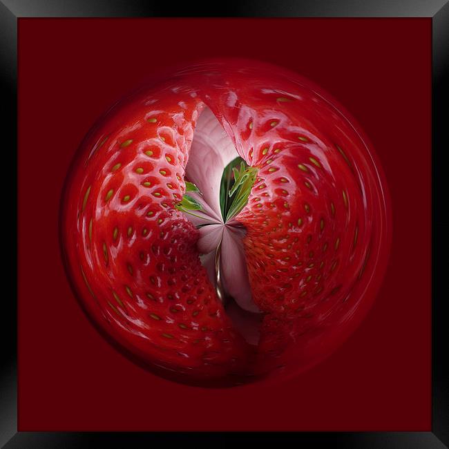 Strawberry from the inside Framed Print by Robert Gipson