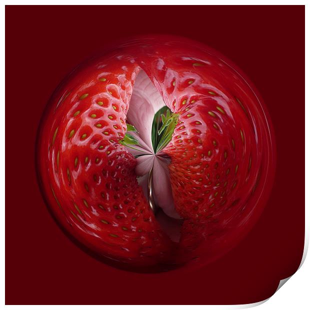 Strawberry from the inside Print by Robert Gipson