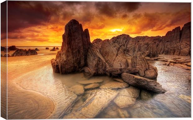 Mortehoe Rockpool Canvas Print by mark leader